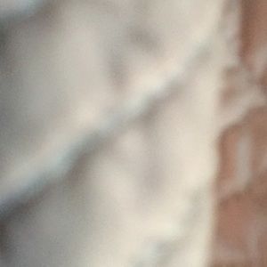 Meet your Posher, Kinsley